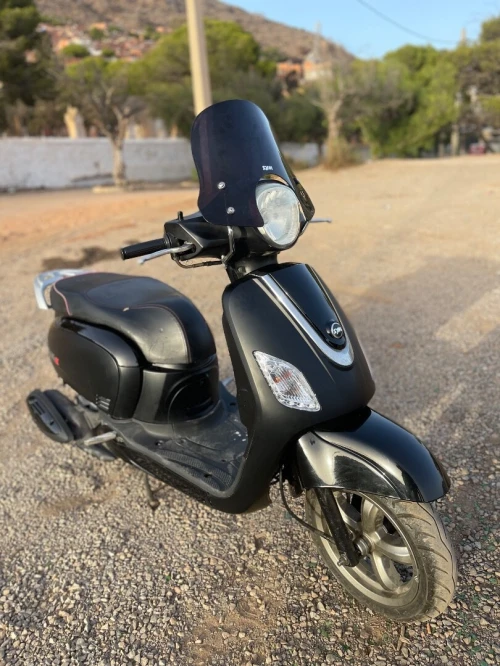 Sym Fiddle 3 2021