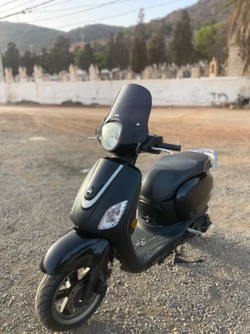 Sym Fiddle 3 2021
