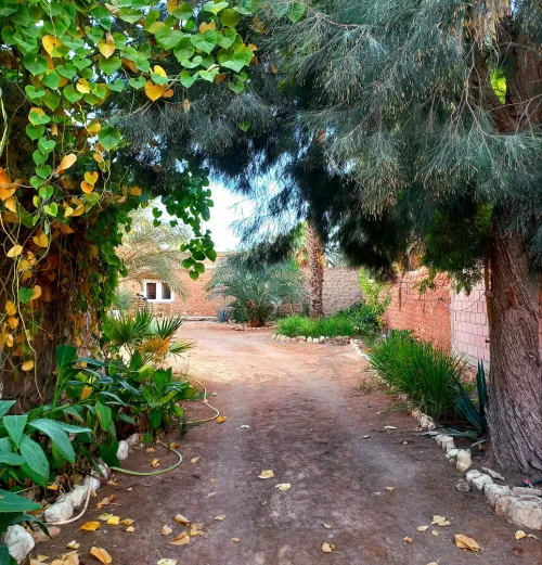Vente Villa El Menia Hassi Gara