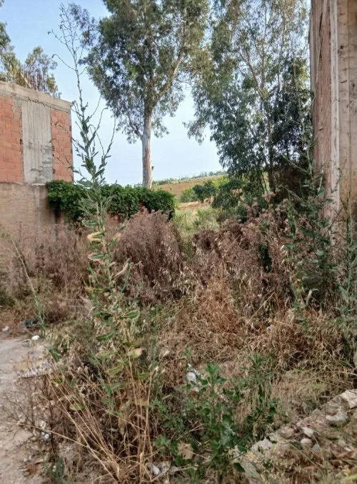 Vente Villa Alger Khraissia