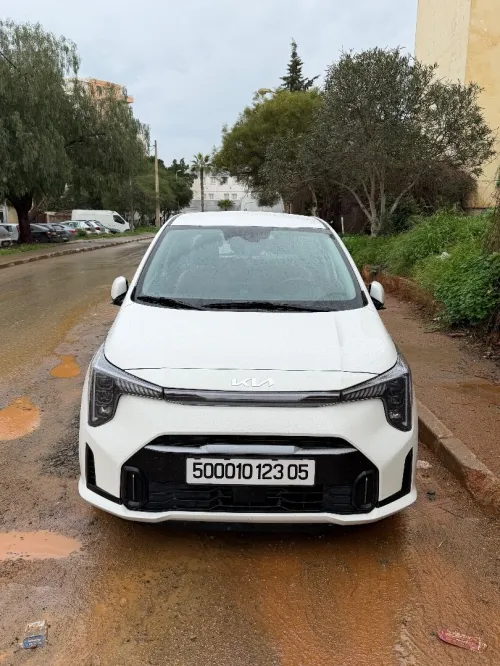 Kia Picanto 2023 Morning