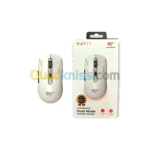 SOURIS SANS FIL HAVIT GAM64WB 2.4G BLUETOOTH RECHARGEABLE
