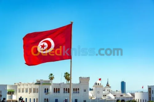 Organisé Tunisie par Bus ou Avion