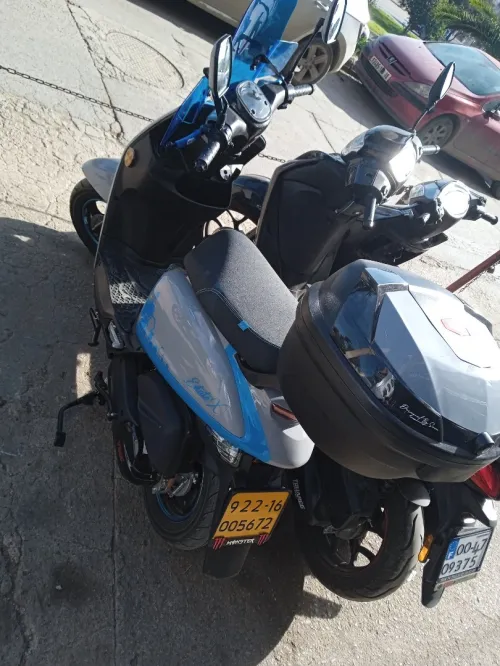VMS ESTATE X 2022