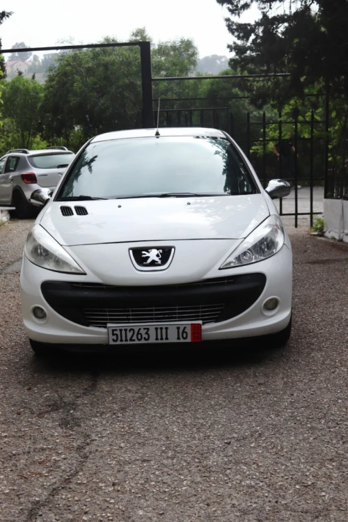 Peugeot 206 Plus 2011 206 Plus