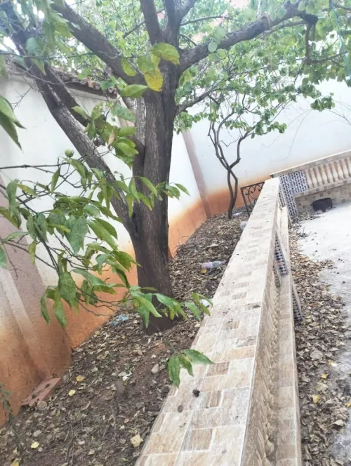 Vente Villa Alger Birkhadem