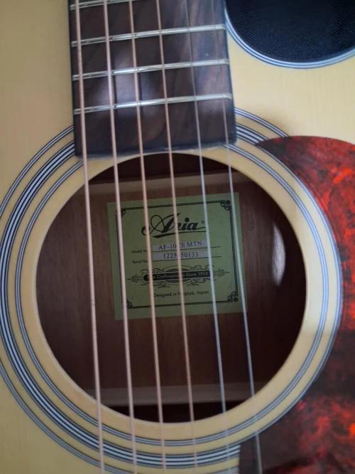 Electro accoustic guitar "Aria"