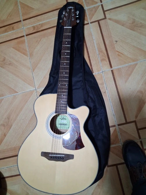 Electro accoustic guitar "Aria"
