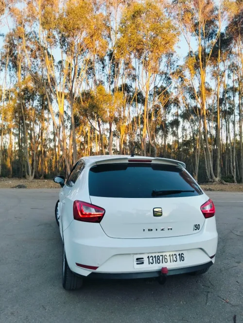 Seat Ibiza 2013 Fully