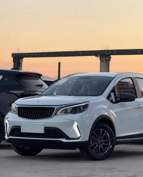 Livan X3 Pro  2026 SUV