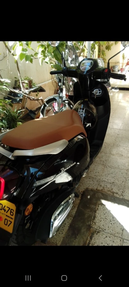 Benelli Panarea 2023