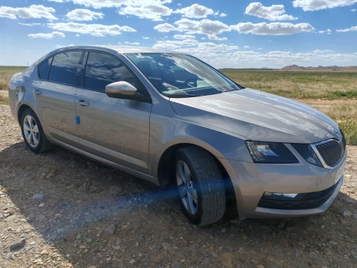 Skoda Octavia 2019 Business