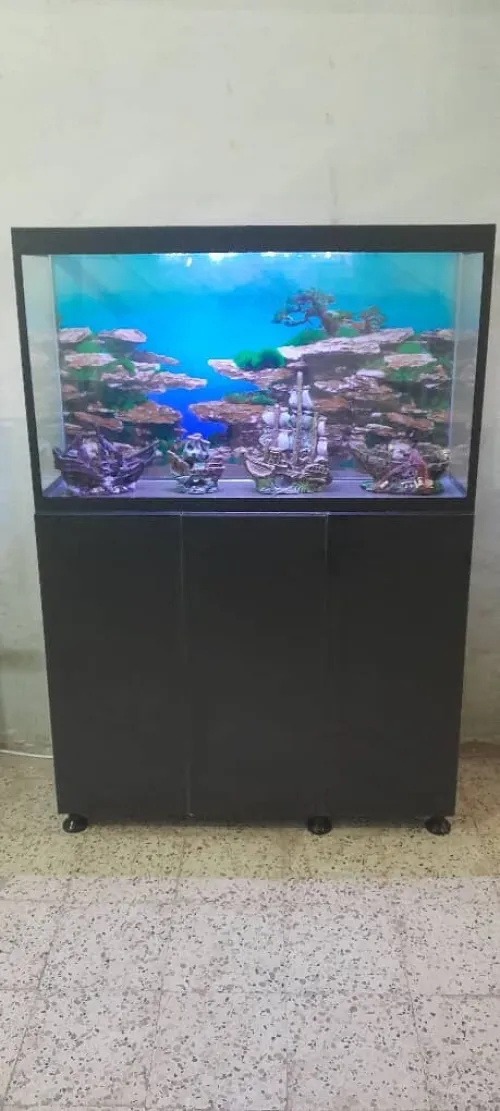 Aquarium avec meuble 1m équipée avec 40 poissons Cycledis Labidos Jaune