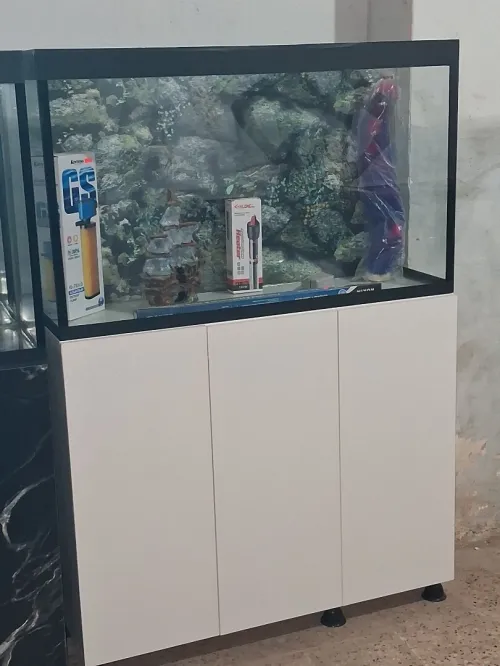 Aquarium avec meuble 1m équipée avec 40 poissons Cycledis Labidos Jaune