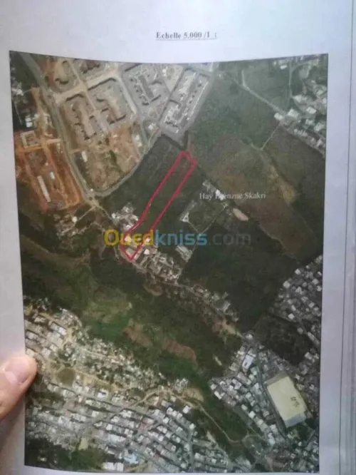 Vente Terrain Alger Saoula
