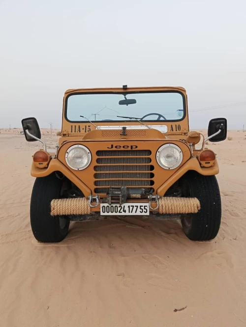 Jeep Willys 1977 