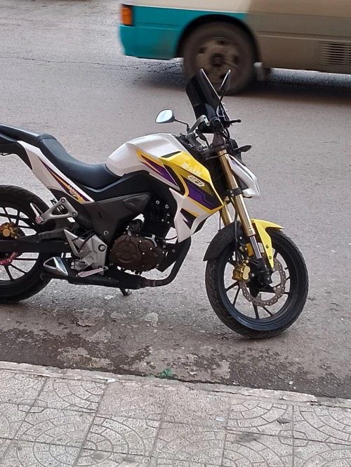SAM 250 SAM 250 2021