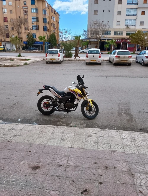SAM 250 SAM 250 2021
