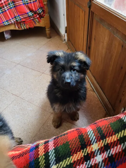Bergè