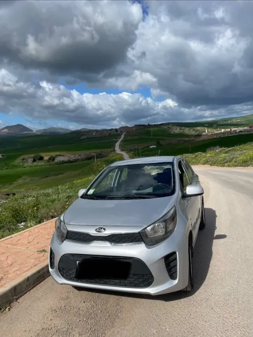 Picanto Picanto 2019 2019
