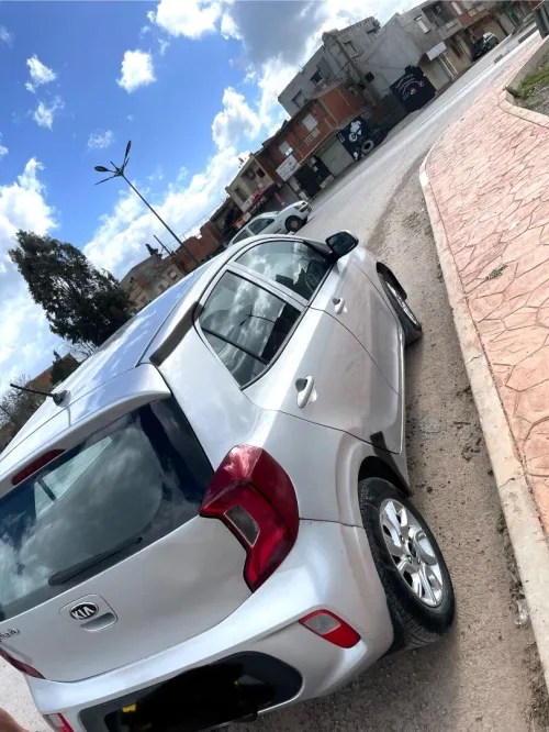 Picanto Picanto 2019 2019