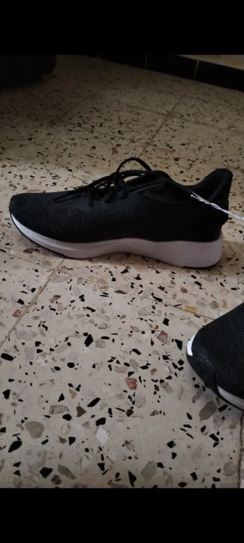 Puma softfoam