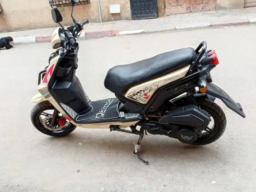 Okino vispa 2024