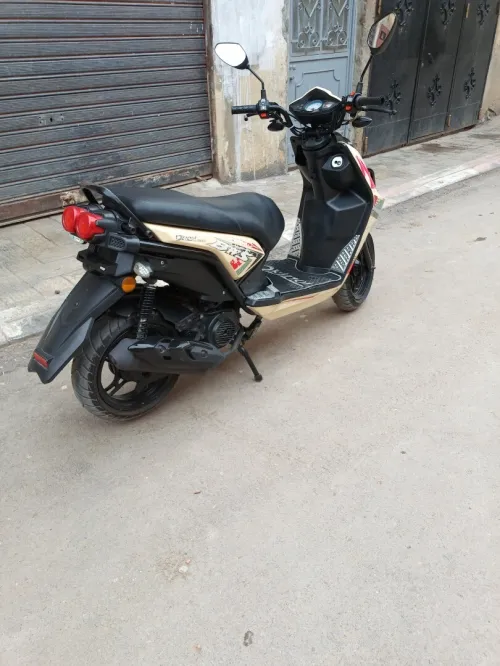 Okino vispa 2024
