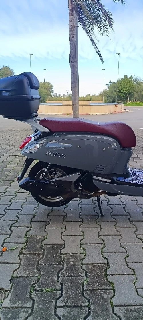 Sym Fiddle 3 2025