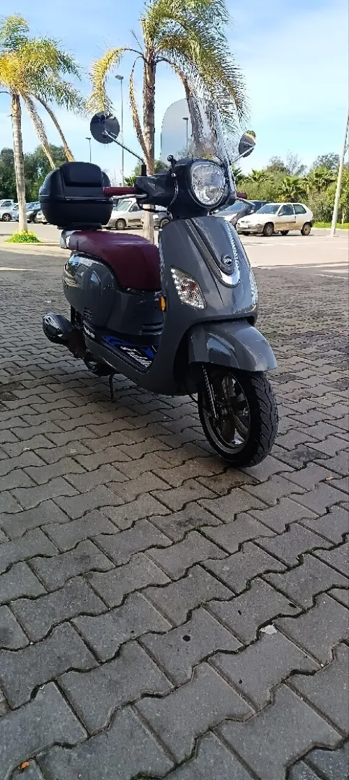 SYM Fiddle 3 2025