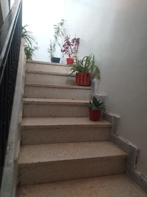 Vente Villa Tlemcen Tlemcen
