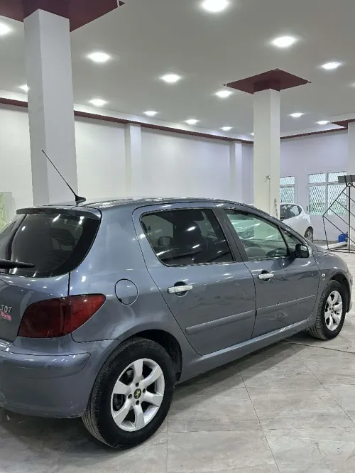 Peugeot 307 2006 Oxygo