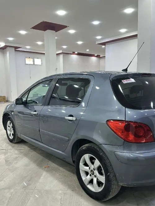 Peugeot 307 2006 Oxygo