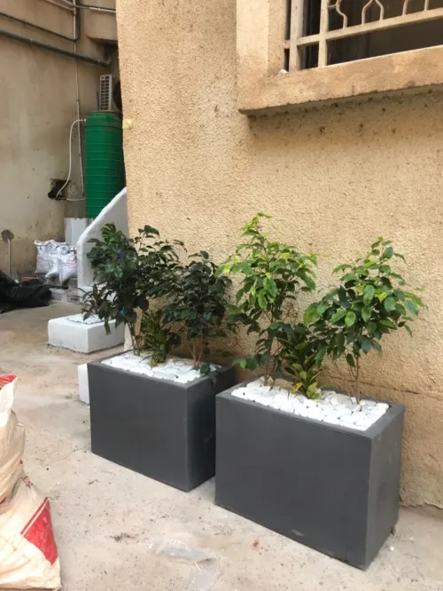 Jardinag