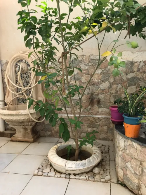 Jardinag