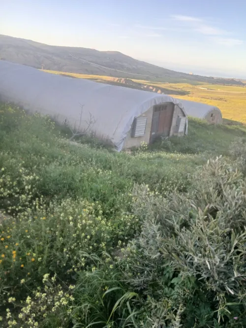 Vente Terrain Agricole Oran El ançor