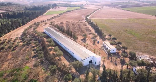 Vente Terrain Agricole Djelfa Ain oussara