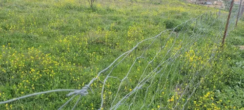 Vente Terrain Agricole Bordj Bou Arreridj Medjana