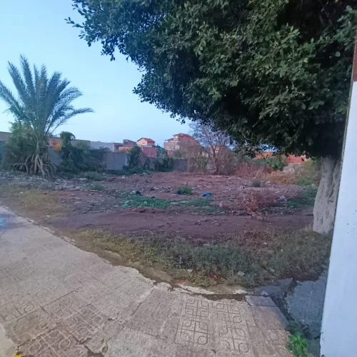 Vente Terrain Boumerdès Zemmouri