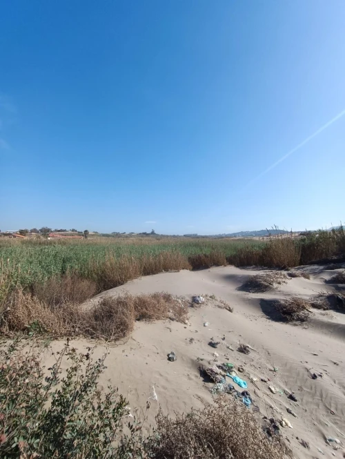 Vente Terrain Boumerdès Zemmouri