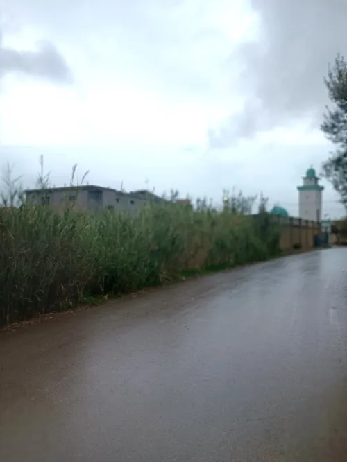 Vente Terrain Boumerdès Beni amrane