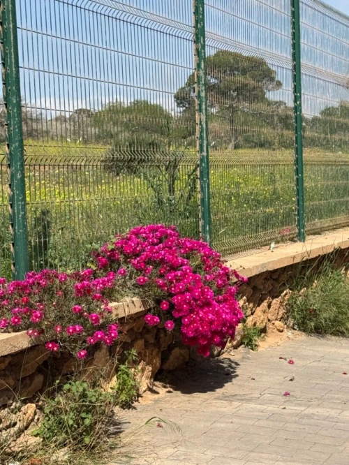 Vente Local Oran Bir el djir