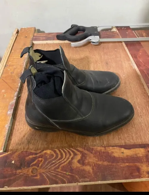 Bottes equitation pointure 41