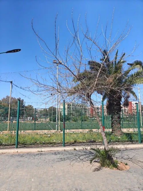 Location Appartement F4 Oran Oran