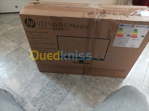 Écran HP v221 FHD