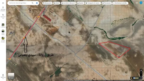 Vente Terrain Sidi Bel Abbès Tilmouni