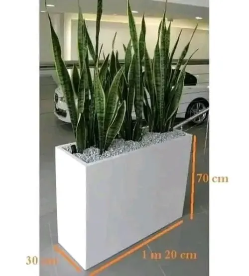 pot de fleur 