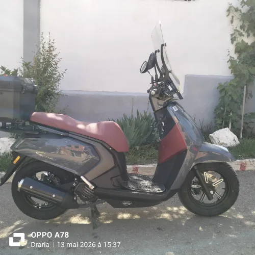 Vms Gemma 2025