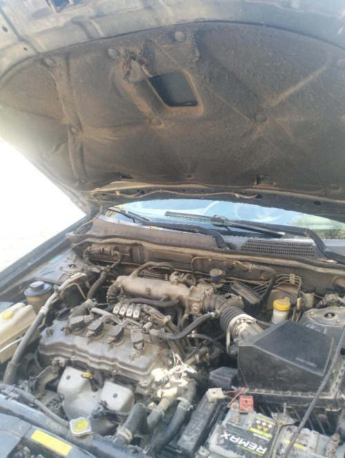 Nissan Sunny 2010 Sunny