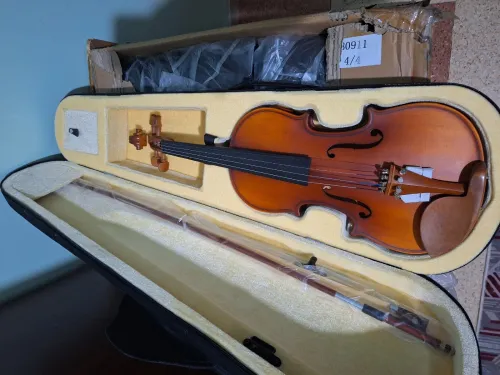 Violon professionnel 4/4